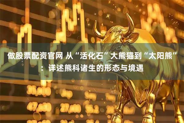 做股票配资官网 从“活化石”大熊猫到“太阳熊”：详述熊科诸生的形态与境遇