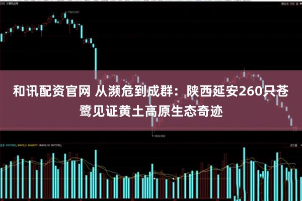 和讯配资官网 从濒危到成群：陕西延安260只苍鹭见证黄土高原生态奇迹