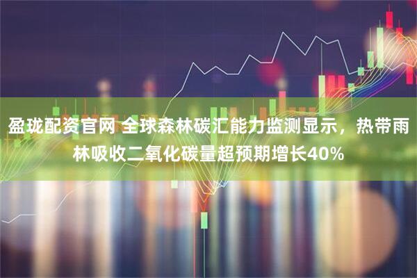 盈珑配资官网 全球森林碳汇能力监测显示，热带雨林吸收二氧化碳量超预期增长40%
