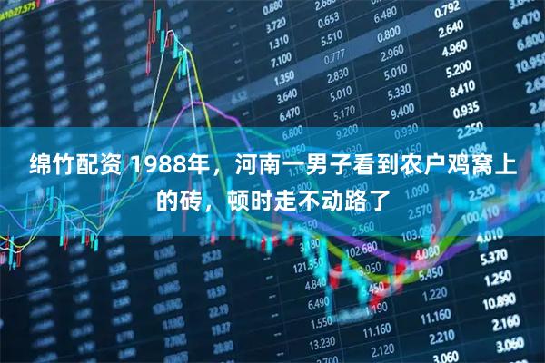 绵竹配资 1988年，河南一男子看到农户鸡窝上的砖，顿时走不动路了