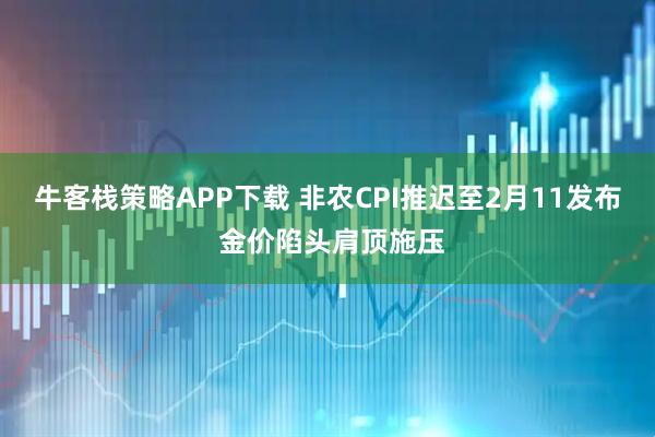 牛客栈策略APP下载 非农CPI推迟至2月11发布 金价陷头肩顶施压