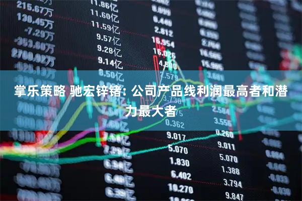 掌乐策略 驰宏锌锗: 公司产品线利润最高者和潜力最大者